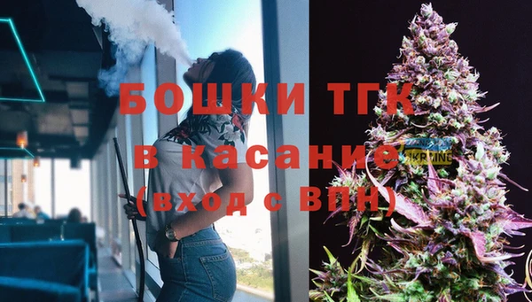 стаф Кулебаки