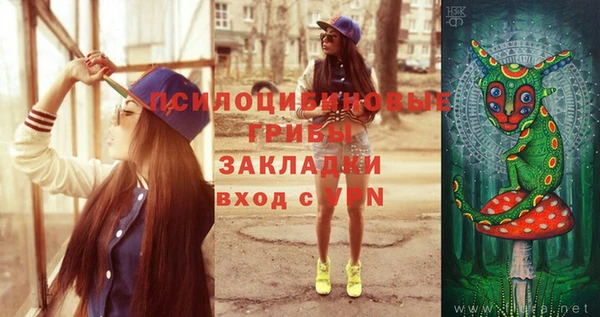герыч Ладушкин