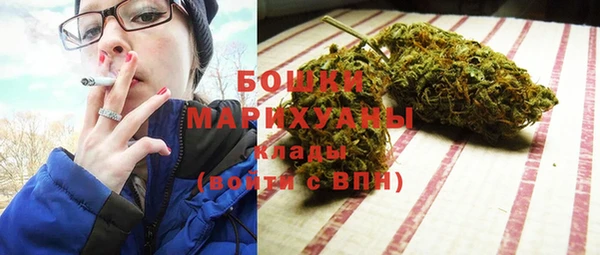 ПСИЛОЦИБИНОВЫЕ ГРИБЫ Лабытнанги