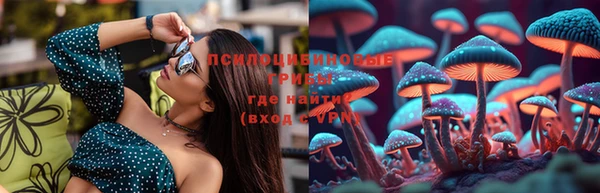 герыч Ладушкин