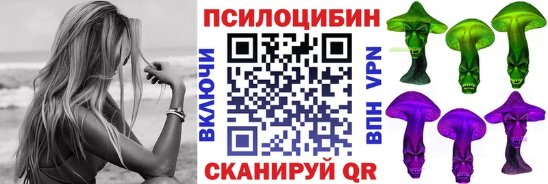 Галлюциногенные грибы Psilocybine cubensis  Купить  Кизилюрт 